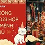 Xông Đất Năm 2023 Tuổi Canh Ngọ Năm Mạng